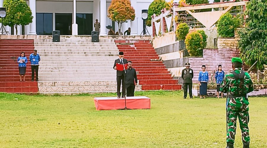 WhatsApp Image 2025-11-10 at 08.46.07