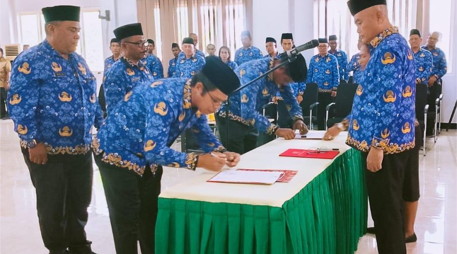 WhatsApp Image 2026-02-11 at 16.25.27